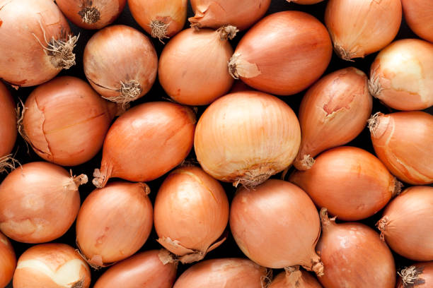 Cebola branca M