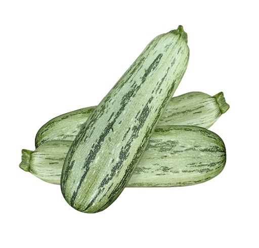 Abóbora italiana (abobrinha)