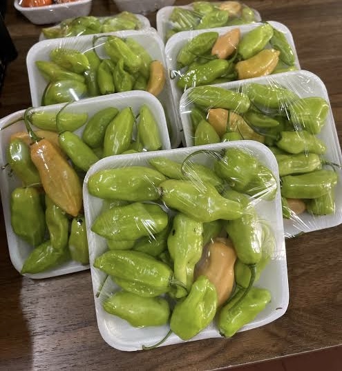 Pimenta de cheiro