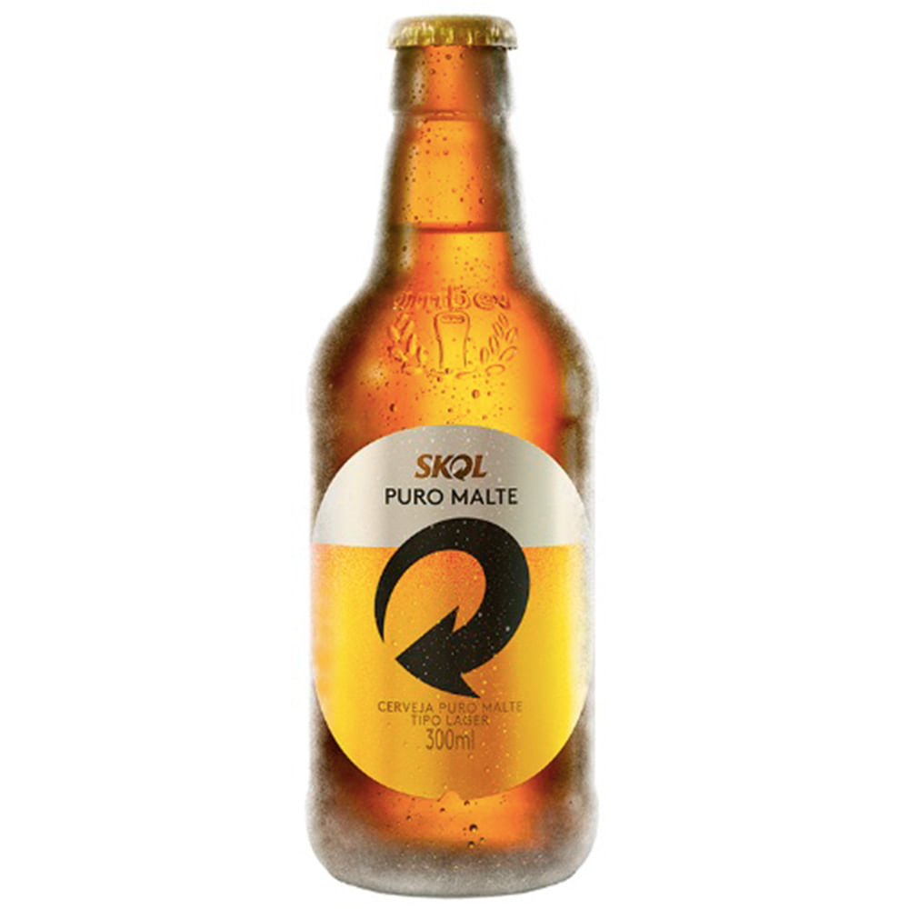 skol 300ml caixa