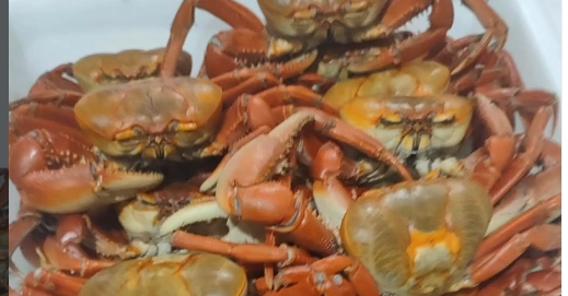Caranguejo s/ Pirão a unid