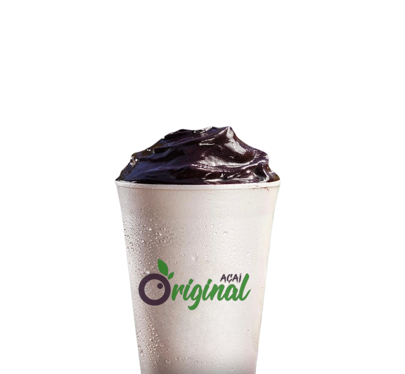 GENGIBRE 300 ML