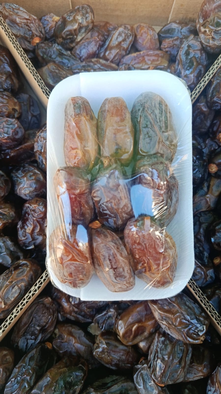 Tâmara