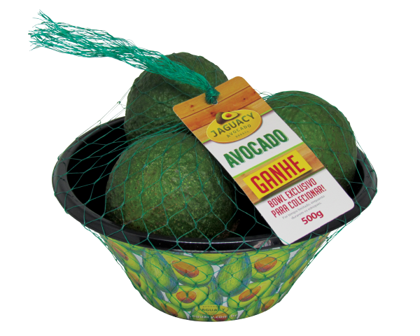Avocado na redinha com Bowl