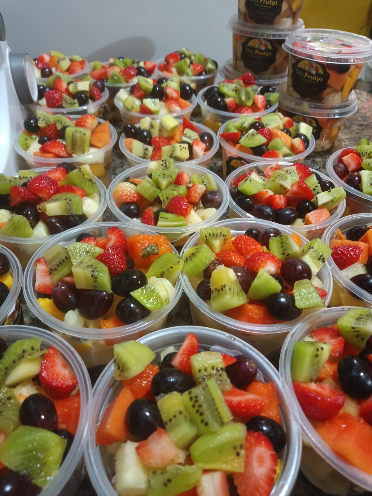 SALADA DE FRUTAS 330ML